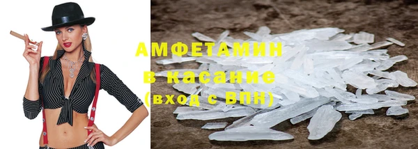 твердый Новозыбков