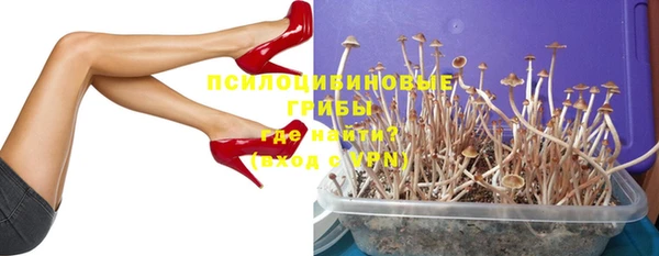твердый Новозыбков