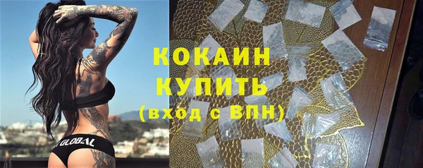 твердый Новозыбков