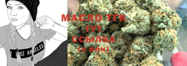 твердый Новозыбков