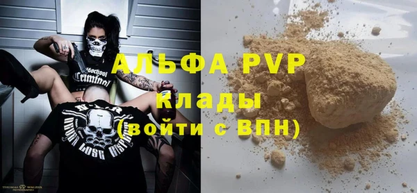твердый Новозыбков