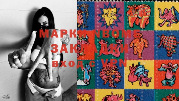 твердый Новозыбков