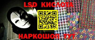 прущие грибы Балашиха