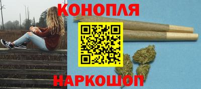 прущие грибы Камышлов