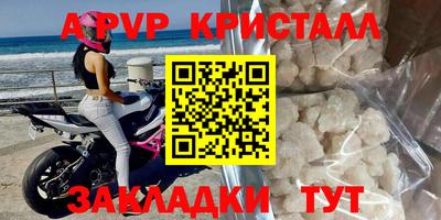 прущие грибы Камышлов