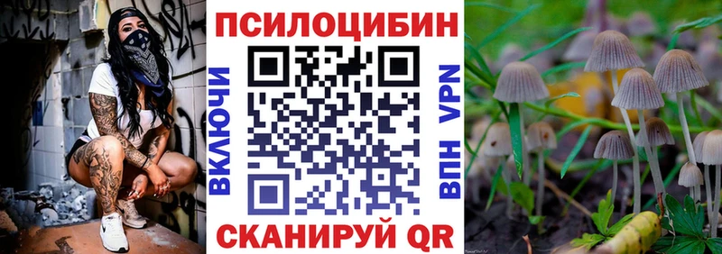 OMG сайт  Курчалой  Галлюциногенные грибы Psilocybe  что такое наркотик 