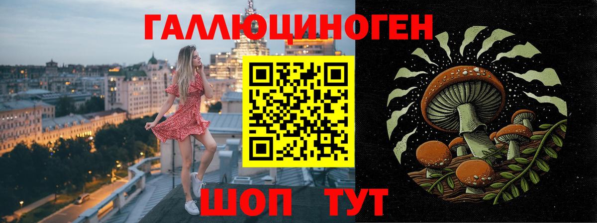 Галлюциногенные грибы Cubensis Курчалой