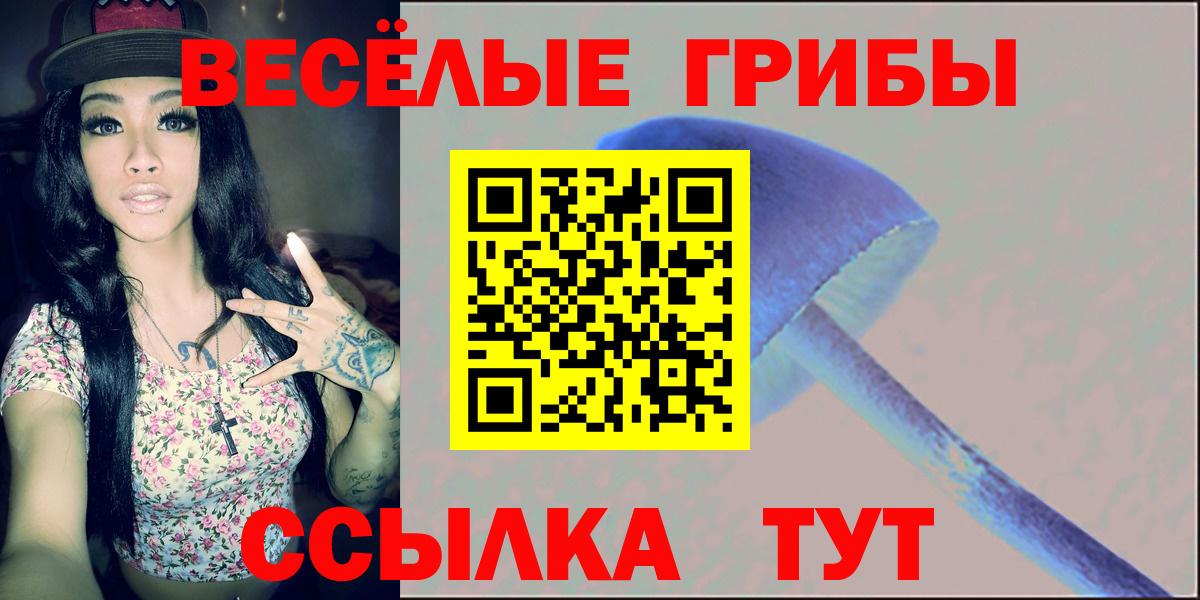 Галлюциногенные грибы Cubensis Курчалой