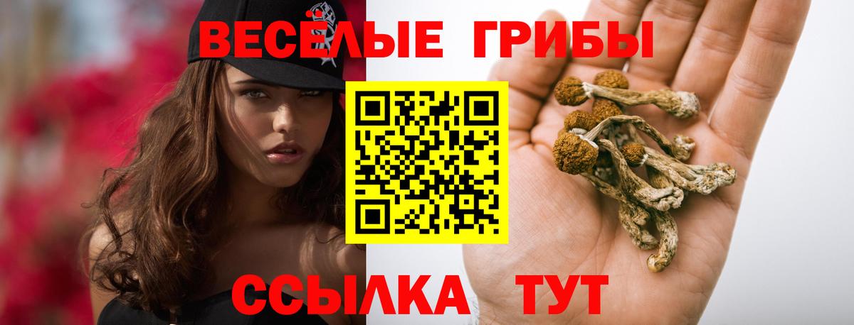 Псилоцибиновые грибы MAGIC MUSHROOMS  Галлюциногенные грибы ЛСД  Курчалой 